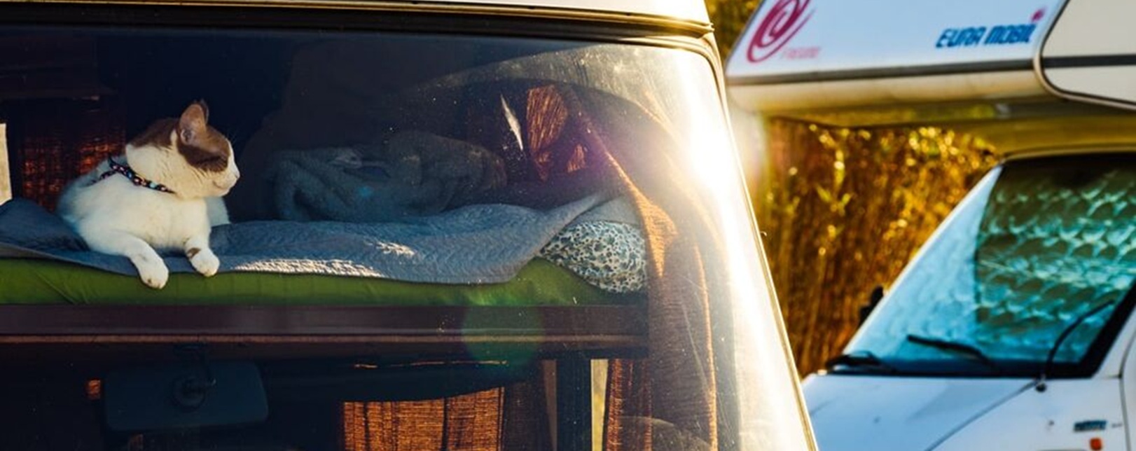 RV Windshield Repair