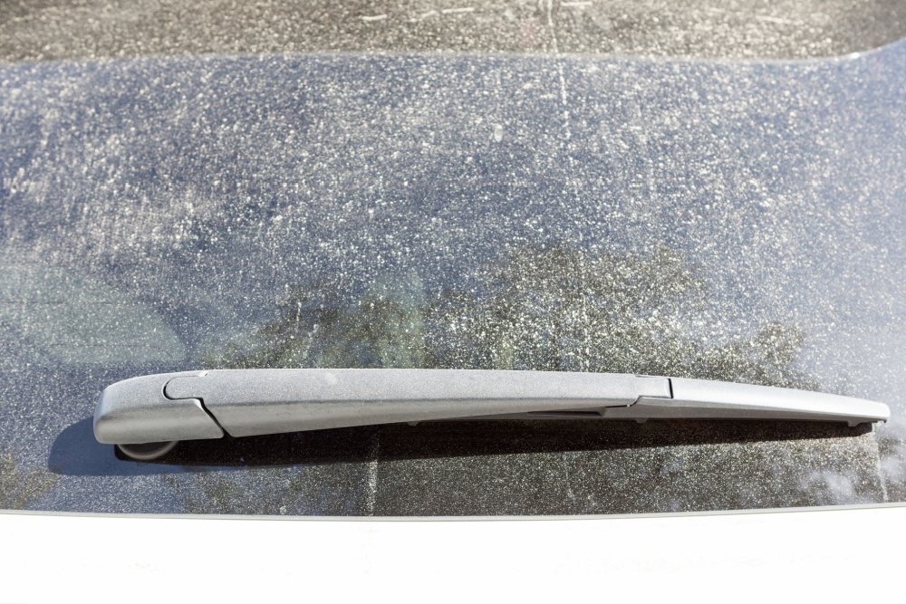 Mobile windshield repair