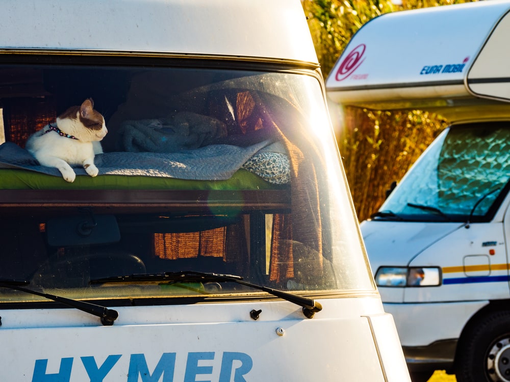 Rv windshield